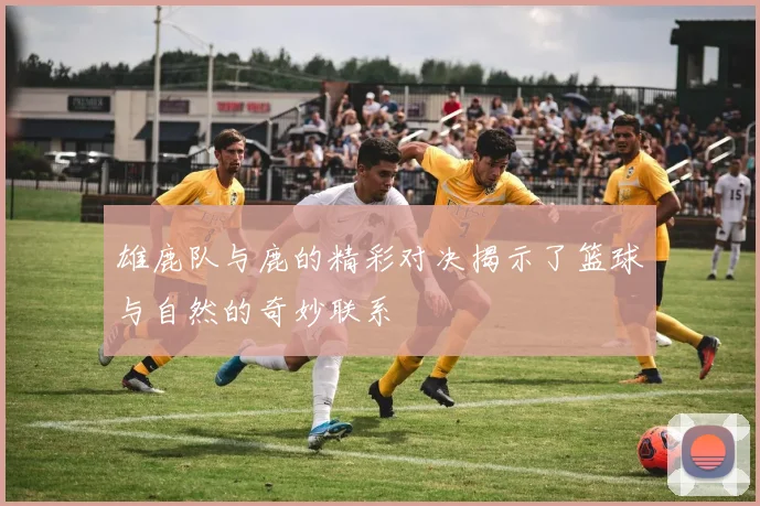 雄鹿队与鹿的精彩对决揭示了篮球与自然的奇妙联系