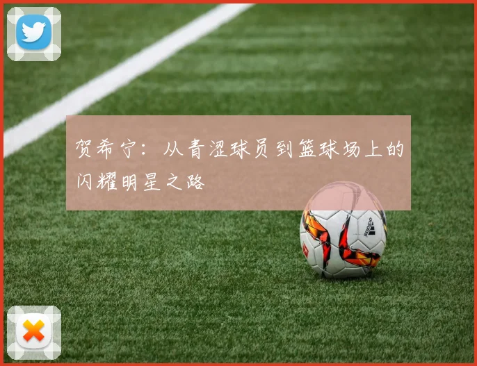 贺希宁：从青涩球员到篮球场上的闪耀明星之路