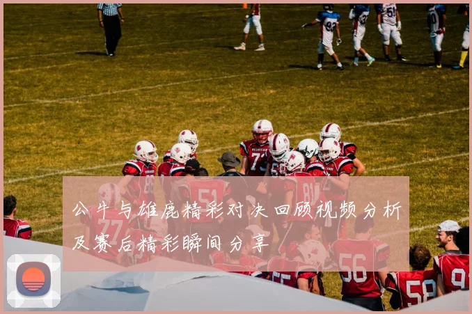 公牛与雄鹿精彩对决回顾视频分析及赛后精彩瞬间分享