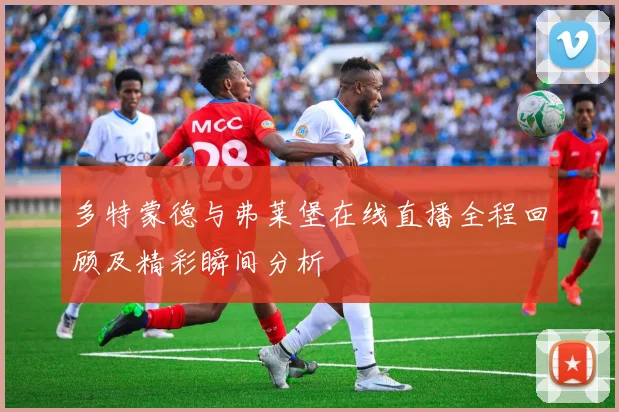 多特蒙德与弗莱堡在线直播全程回顾及精彩瞬间分析