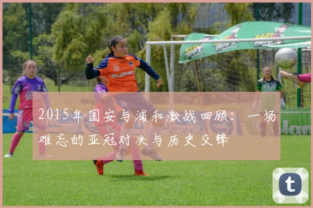 2015年国安与浦和激战回顾：一场难忘的亚冠对决与历史交锋